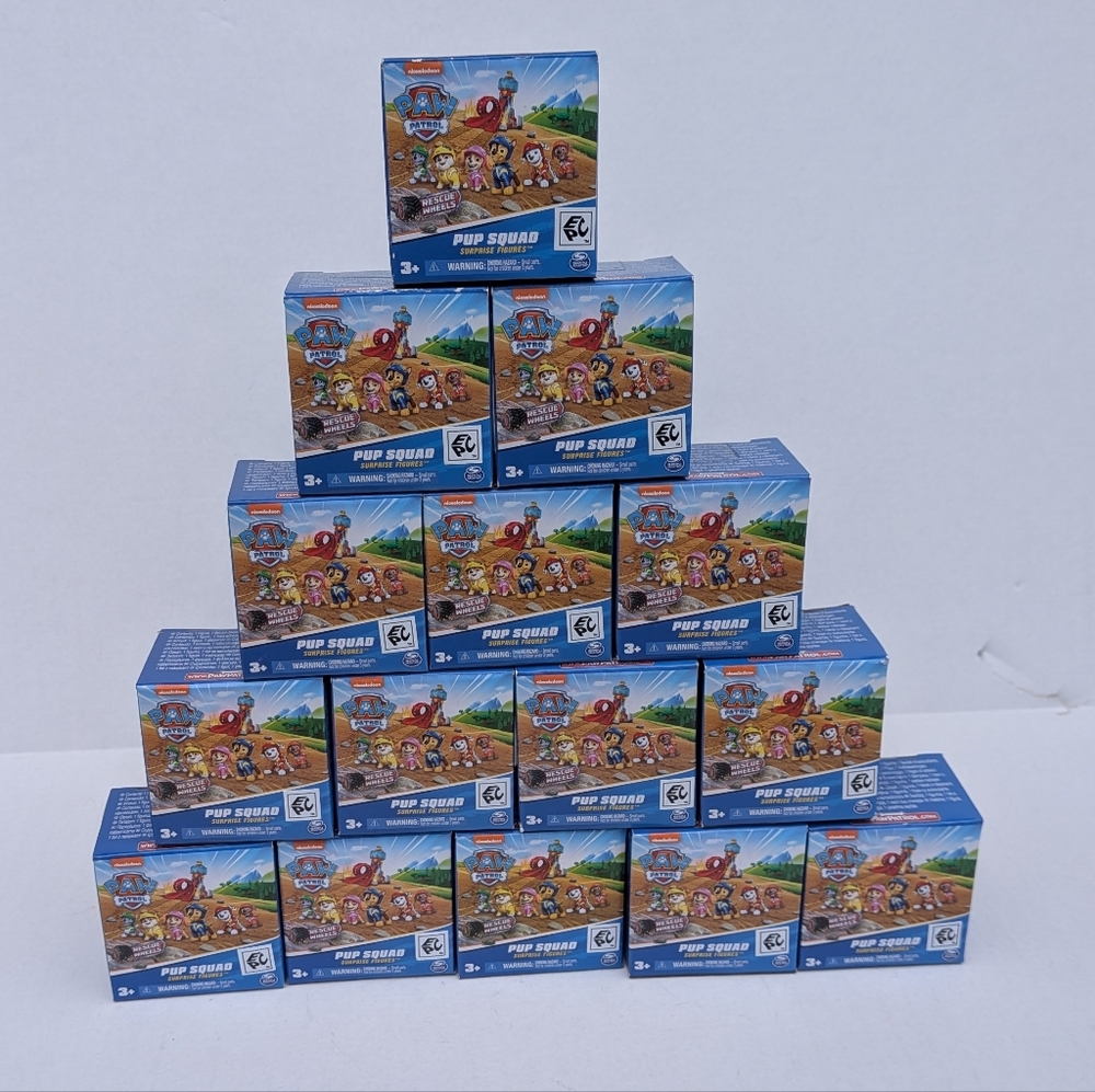 Paw Patrol Pup Squad Surprise Packs - 15 Series 3